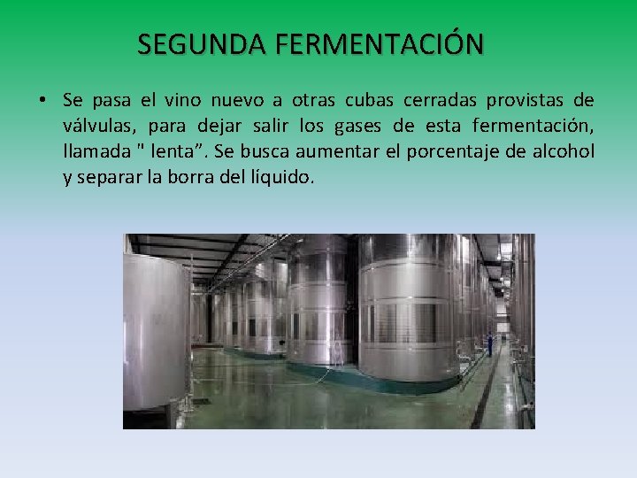 SEGUNDA FERMENTACIÓN • Se pasa el vino nuevo a otras cubas cerradas provistas de SEGUNDA FERMENTACIÓN • Se pasa el vino nuevo a otras cubas cerradas provistas de