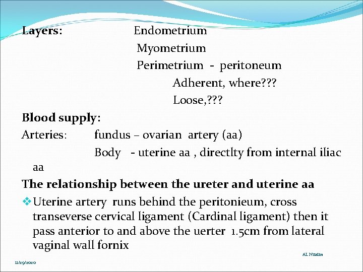 Layers: Endometrium Myometrium Perimetrium - peritoneum Adherent, where? ? ? Loose, ? ? ? Layers: Endometrium Myometrium Perimetrium - peritoneum Adherent, where? ? ? Loose, ? ? ?