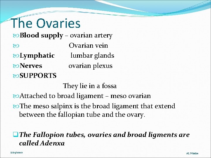 The Ovaries Blood supply – ovarian artery Ovarian vein Lymphatic lumbar glands Nerves ovarian The Ovaries Blood supply – ovarian artery Ovarian vein Lymphatic lumbar glands Nerves ovarian