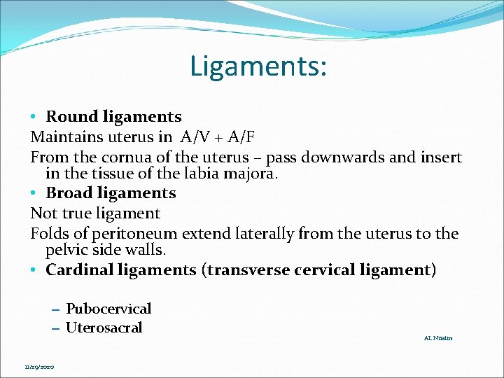 Ligaments: • Round ligaments Maintains uterus in A/V + A/F From the cornua of Ligaments: • Round ligaments Maintains uterus in A/V + A/F From the cornua of