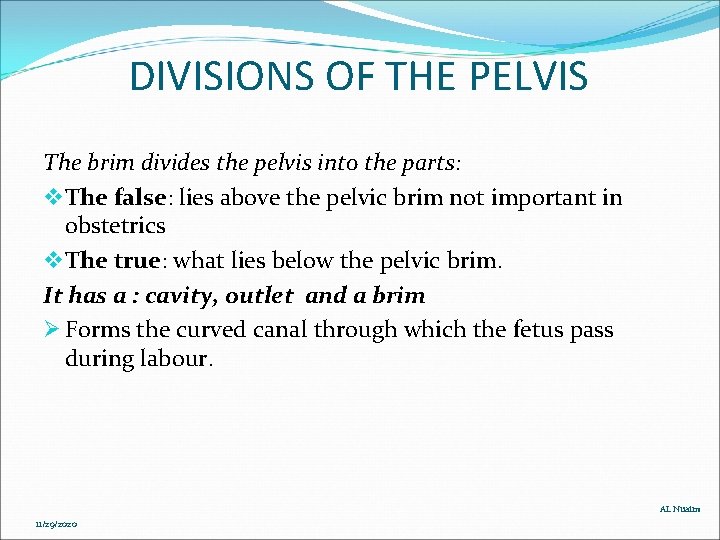 DIVISIONS OF THE PELVIS The brim divides the pelvis into the parts: v The DIVISIONS OF THE PELVIS The brim divides the pelvis into the parts: v The