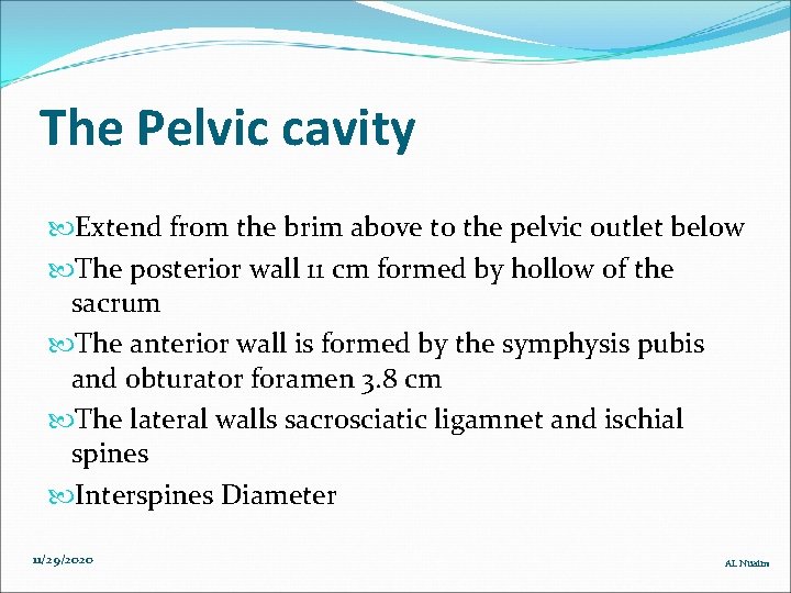 The Pelvic cavity Extend from the brim above to the pelvic outlet below The The Pelvic cavity Extend from the brim above to the pelvic outlet below The