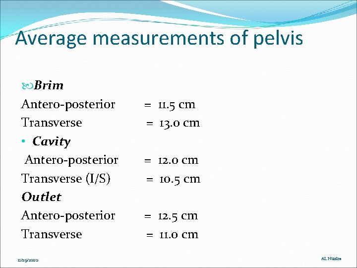 Average measurements of pelvis Brim Antero-posterior = 11. 5 cm Transverse = 13. 0 Average measurements of pelvis Brim Antero-posterior = 11. 5 cm Transverse = 13. 0