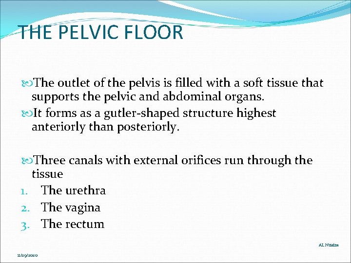 THE PELVIC FLOOR The outlet of the pelvis is filled with a soft tissue THE PELVIC FLOOR The outlet of the pelvis is filled with a soft tissue