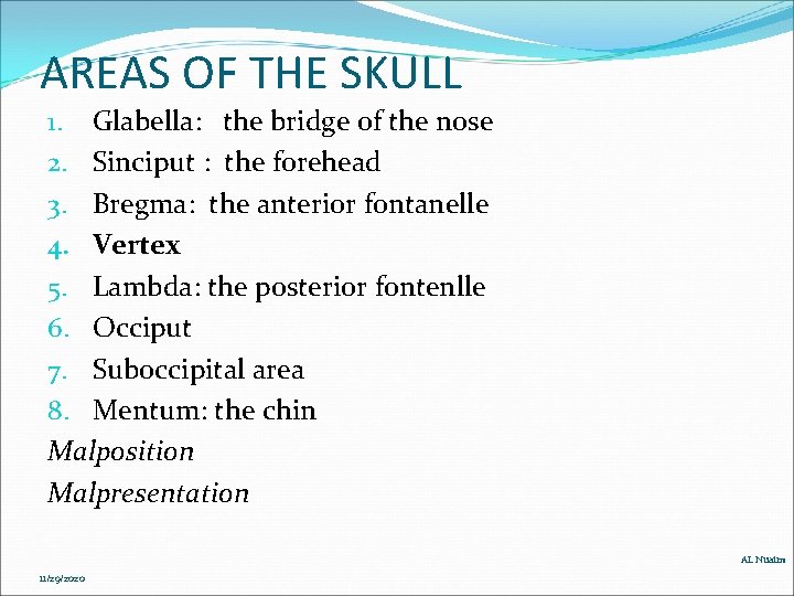 AREAS OF THE SKULL 1. Glabella: the bridge of the nose 2. Sinciput : AREAS OF THE SKULL 1. Glabella: the bridge of the nose 2. Sinciput :