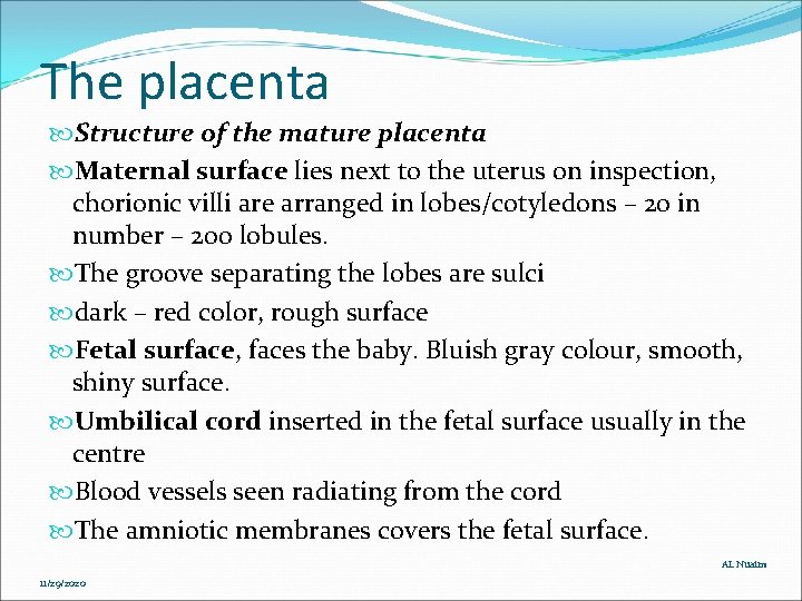 The placenta Structure of the mature placenta Maternal surface lies next to the uterus The placenta Structure of the mature placenta Maternal surface lies next to the uterus