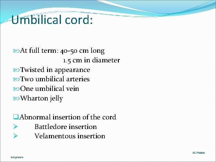 Umbilical cord: At full term: 40 -50 cm long 1. 5 cm in diameter Umbilical cord: At full term: 40 -50 cm long 1. 5 cm in diameter