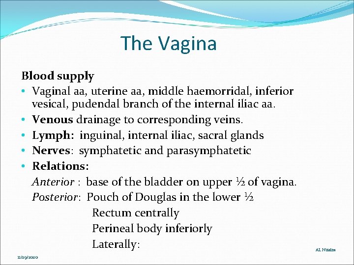 The Vagina Blood supply • Vaginal aa, uterine aa, middle haemorridal, inferior vesical, pudendal The Vagina Blood supply • Vaginal aa, uterine aa, middle haemorridal, inferior vesical, pudendal