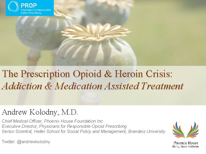 The Prescription Opioid & Heroin Crisis: Addiction & Medication Assisted Treatment Andrew Kolodny, M.