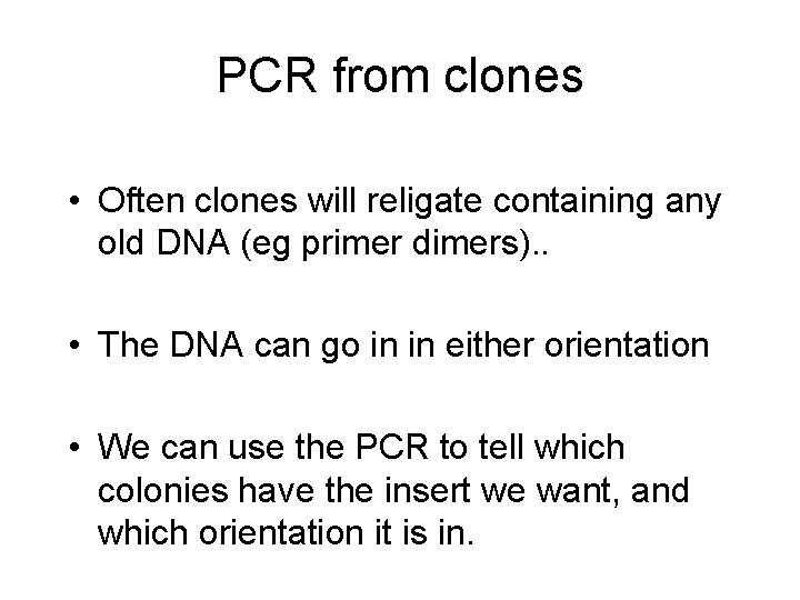 PCR from clones • Often clones will religate containing any old DNA (eg primer