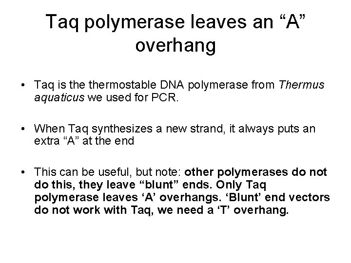 Taq polymerase leaves an “A” overhang • Taq is thermostable DNA polymerase from Thermus