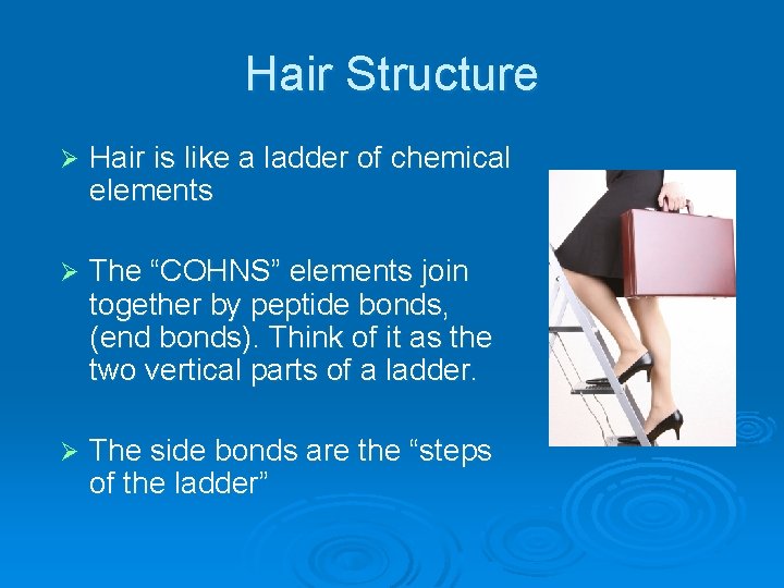 Hair Structure Ø Hair is like a ladder of chemical elements Ø The “COHNS”