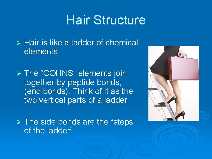 Hair Structure Ø Hair is like a ladder of chemical elements Ø The “COHNS”