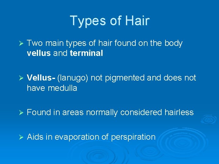 Types of Hair Ø Two main types of hair found on the body vellus