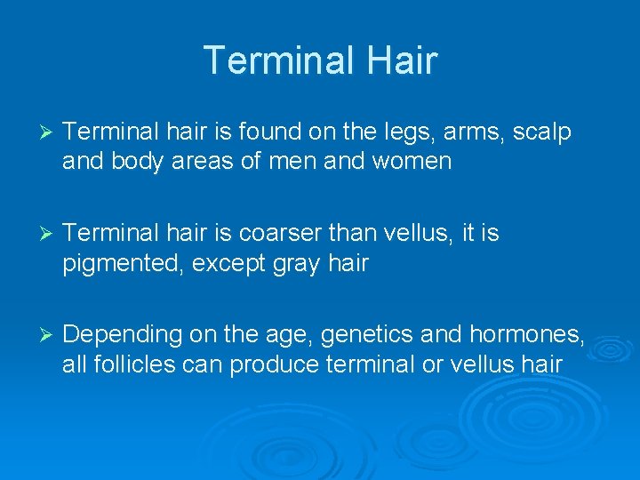 Terminal Hair Ø Terminal hair is found on the legs, arms, scalp and body