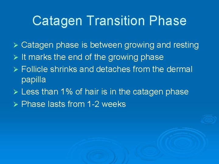 Catagen Transition Phase Catagen phase is between growing and resting Ø It marks the