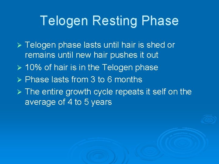 Telogen Resting Phase Telogen phase lasts until hair is shed or remains until new