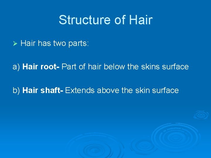 Structure of Hair Ø Hair has two parts: a) Hair root- Part of hair