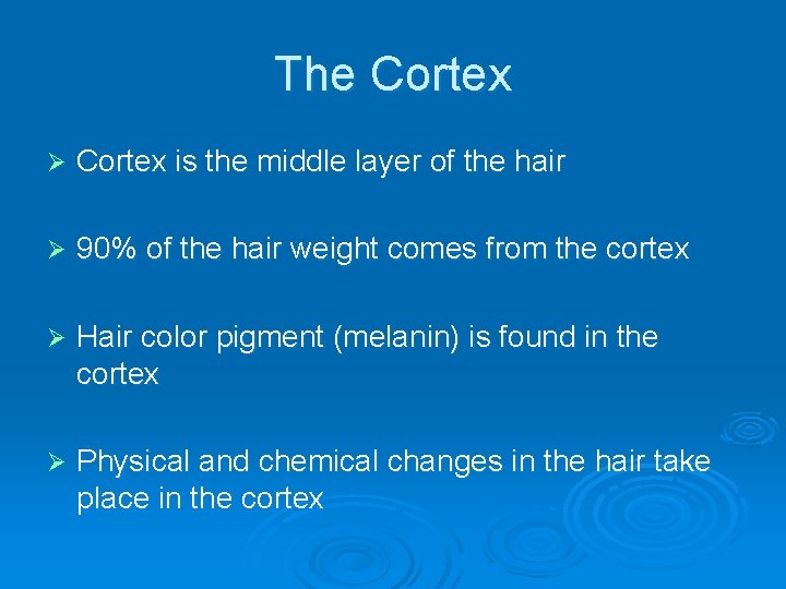 The Cortex Ø Cortex is the middle layer of the hair Ø 90% of