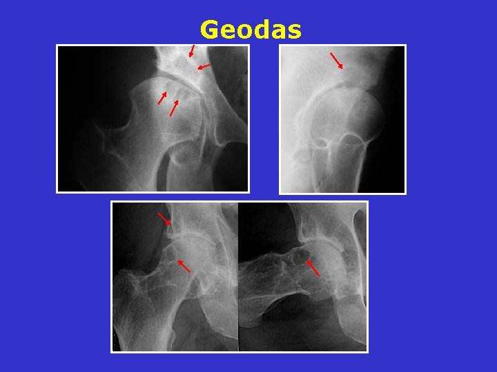 Geodas Geodas