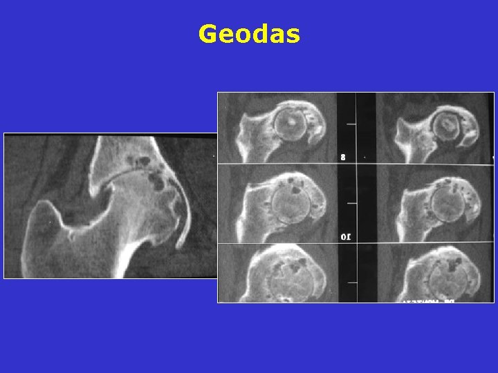 Geodas Geodas