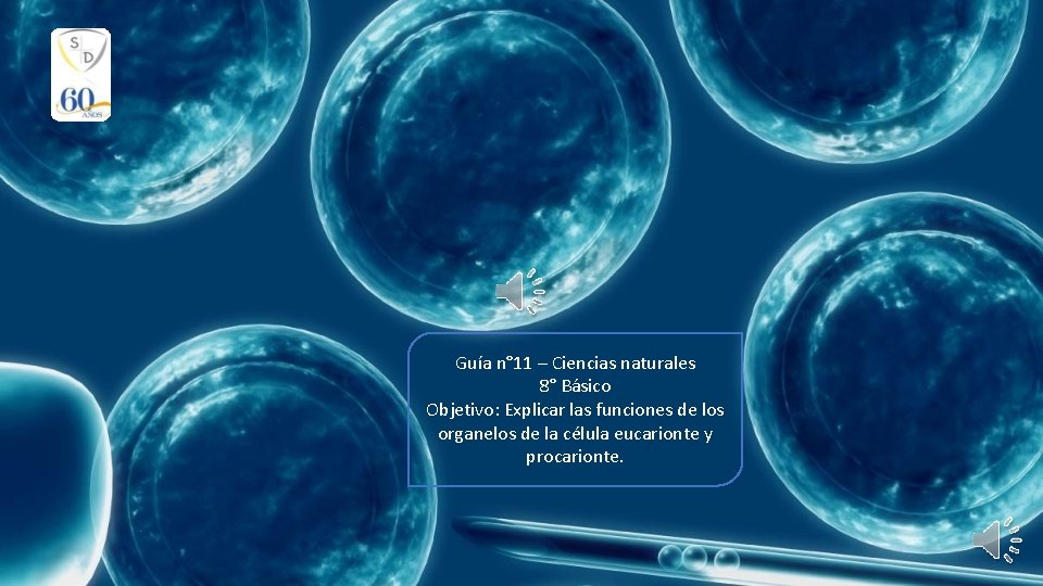Guía n° 11 – Ciencias naturales 8° Básico Objetivo: Explicar las funciones de los