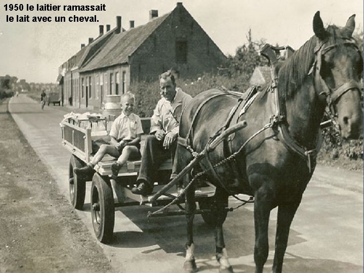 1950 le laitier ramassait le lait avec un cheval. 