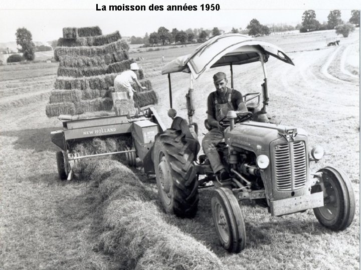 La moisson des années 1950 