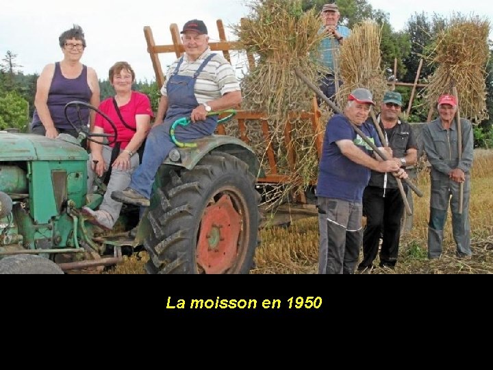 La moisson en 1950 