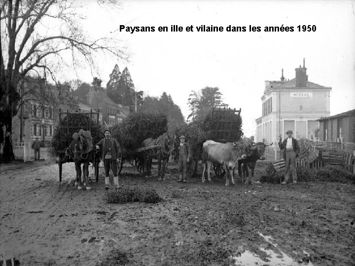 Paysans en ille et vilaine dans les années 1950 