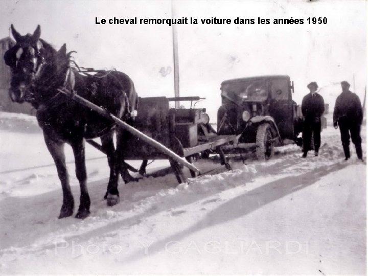 Le cheval remorquait la voiture dans les années 1950 