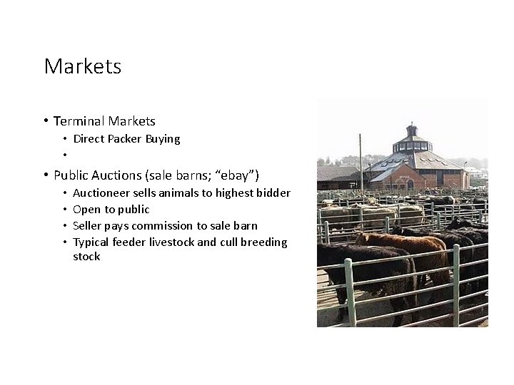 Markets • Terminal Markets • Direct Packer Buying • • Public Auctions (sale barns;