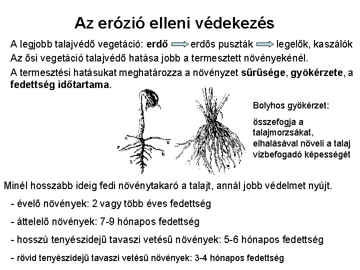 Az erózió elleni védekezés A legjobb talajvédő vegetáció: erdős puszták legelők, kaszálók Az ősi