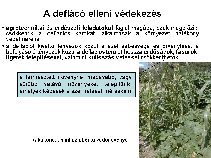 A deflácó elleni védekezés • agrotechnikai és erdészeti feladatokat foglal magába, ezek megelőzik, csökkentik