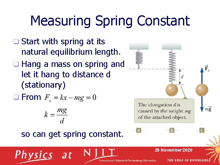 Measuring Spring Constant q Start with spring at its natural equilibrium length. q Hang