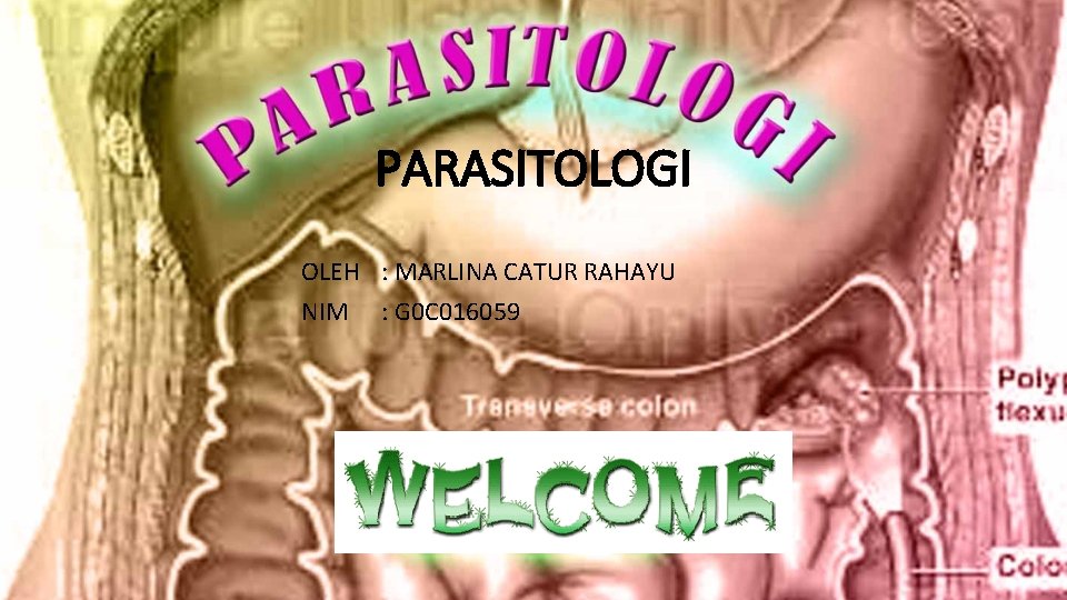 PARASITOLOGI OLEH : MARLINA CATUR RAHAYU NIM : G 0 C 016059 