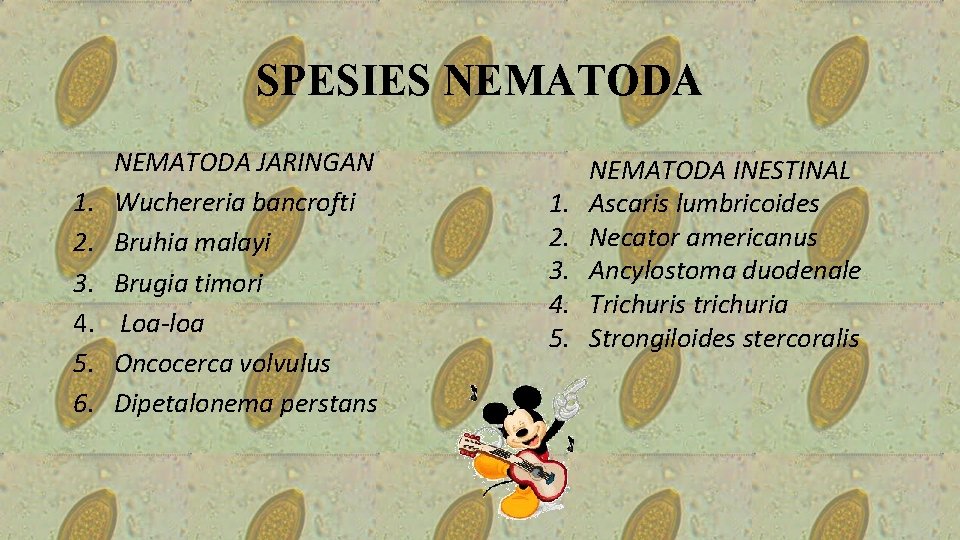 SPESIES NEMATODA 1. 2. 3. 4. 5. 6. NEMATODA JARINGAN Wuchereria bancrofti Bruhia malayi