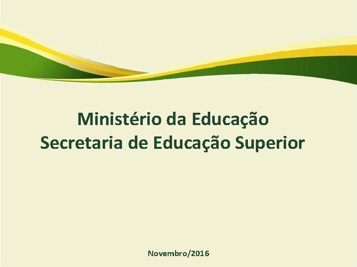 Ministério da Educação Secretaria de Educação Superior Novembro/2016 