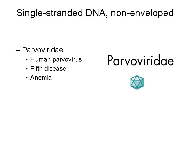 Single-stranded DNA, non-enveloped – Parvoviridae • Human parvovirus • Fifth disease • Anemia 