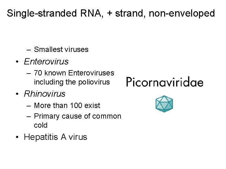 Single-stranded RNA, + strand, non-enveloped – Smallest viruses • Enterovirus – 70 known Enteroviruses