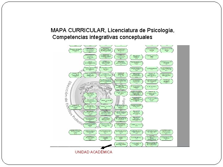 MAPA CURRICULAR, Licenciatura de Psicología, Competencias integrativas conceptuales UNIDAD ACADÉMICA 