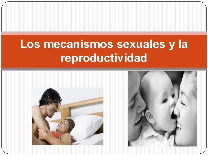 Los mecanismos sexuales y la reproductividad 