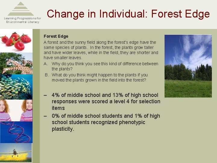 Learning Progressions for Environmental Literacy Change in Individual: Forest Edge A forest and the Learning Progressions for Environmental Literacy Change in Individual: Forest Edge A forest and the
