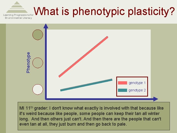 What is phenotypic plasticity? Phenotype Learning Progressions for Environmental Literacy genotype 1 genotype 2 What is phenotypic plasticity? Phenotype Learning Progressions for Environmental Literacy genotype 1 genotype 2