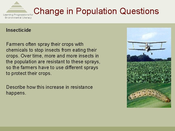 Change in Population Questions Learning Progressions for Environmental Literacy Insecticide Farmers often spray their Change in Population Questions Learning Progressions for Environmental Literacy Insecticide Farmers often spray their
