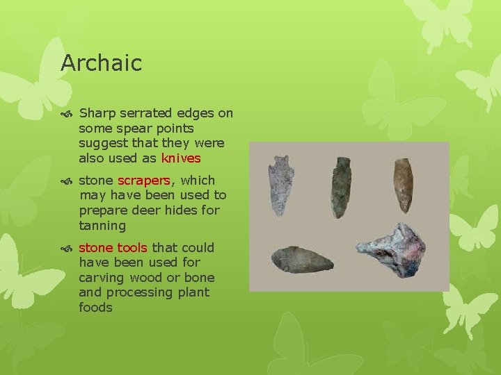 Archaic Sharp serrated edges on some spear points suggest that they were also used