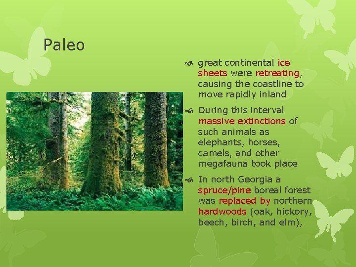 Paleo great continental ice sheets were retreating, causing the coastline to move rapidly inland