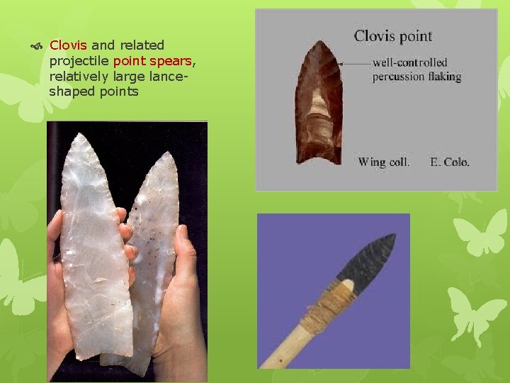  Clovis and related projectile point spears, relatively large lanceshaped points 