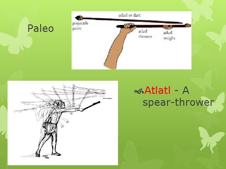 Paleo Atlatl - A spear-thrower 