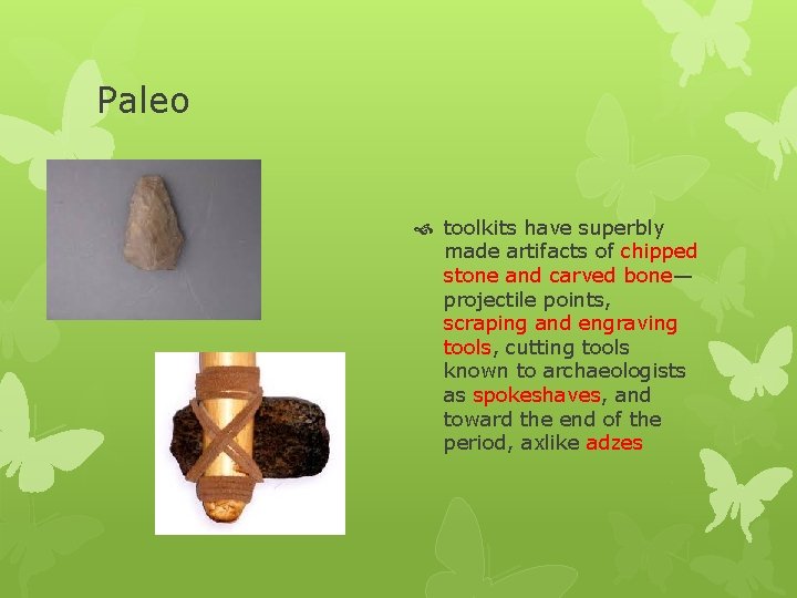 Paleo toolkits have superbly made artifacts of chipped stone and carved bone— projectile points,